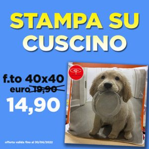 CUSCINO